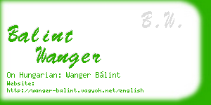balint wanger business card