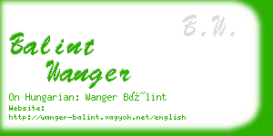 balint wanger business card